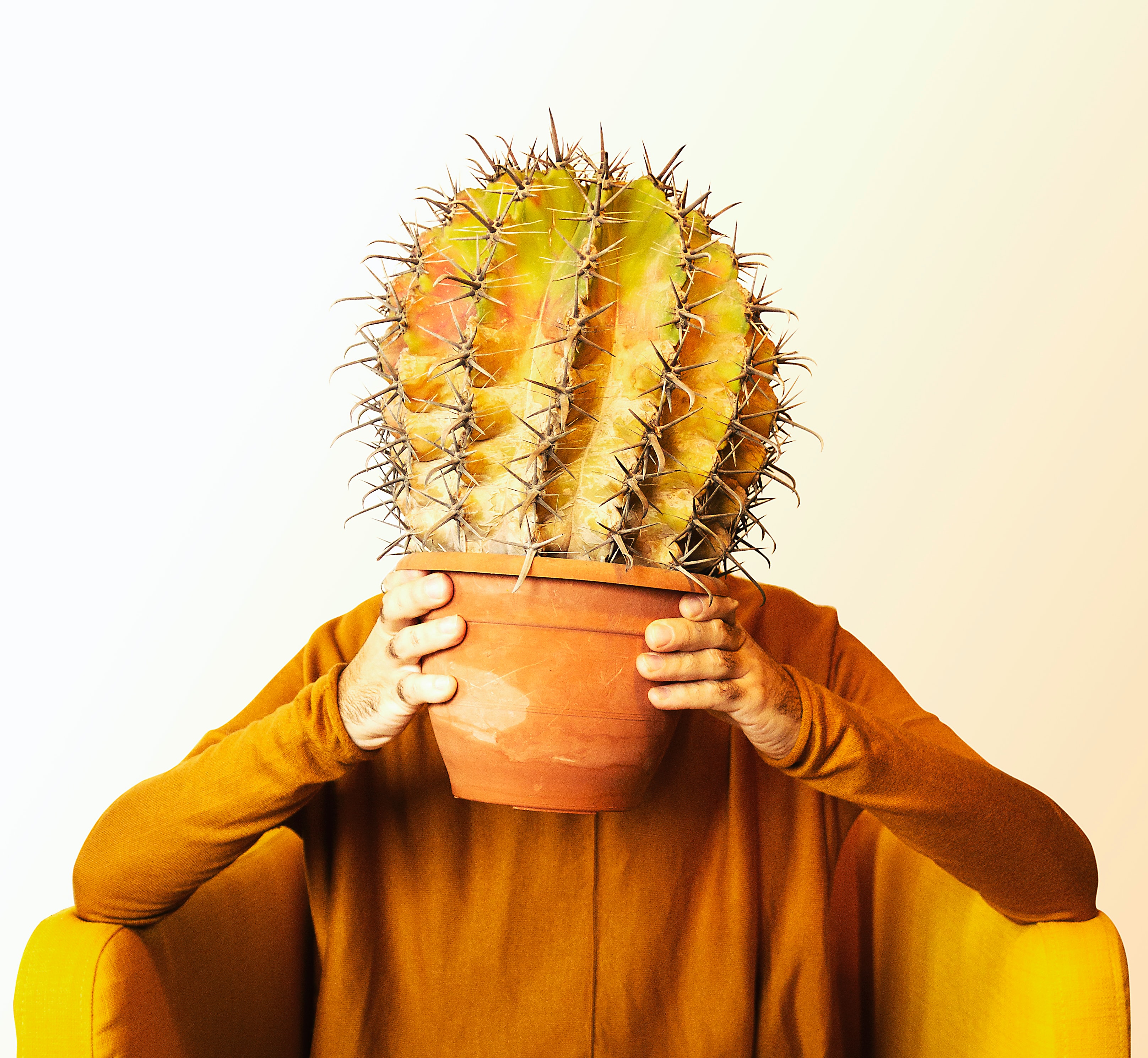 Echinopsis eyriesii